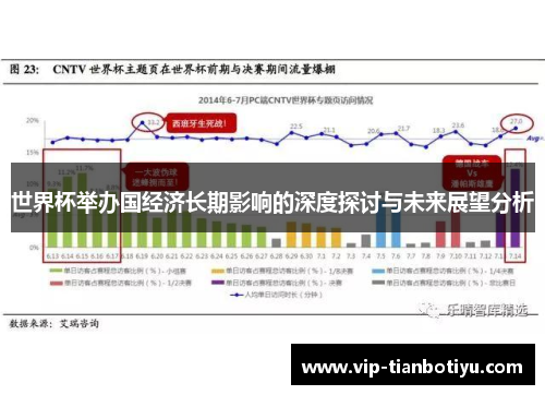 世界杯举办国经济长期影响的深度探讨与未来展望分析