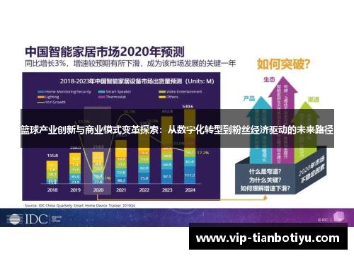 篮球产业创新与商业模式变革探索：从数字化转型到粉丝经济驱动的未来路径