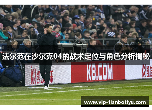 法尔范在沙尔克04的战术定位与角色分析揭秘